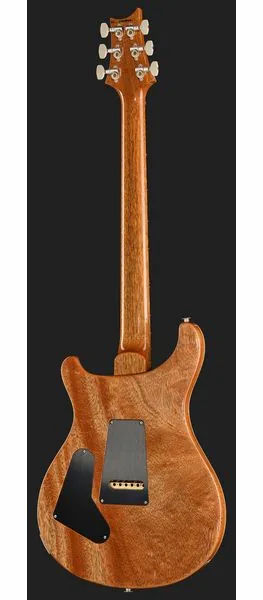 PRS Birds Of A Feather Custom 24 C, detail 3