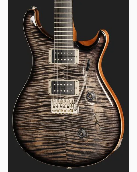 PRS Birds Of A Feather Custom 24 C, detail 4