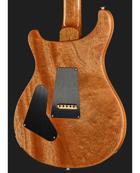 PRS Birds Of A Feather Custom 24 C, detail 5