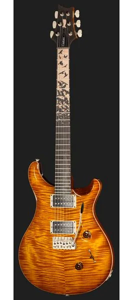 PRS Birds Of A Feather Custom 24 H, detail 2