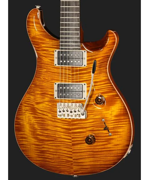 PRS Birds Of A Feather Custom 24 H, detail 4