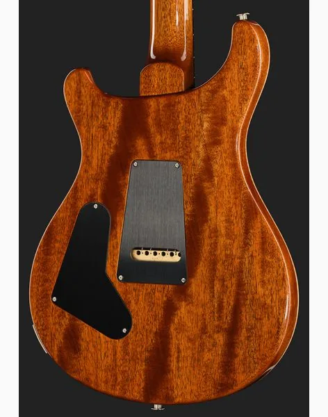 PRS Birds Of A Feather Custom 24 H, detail 5