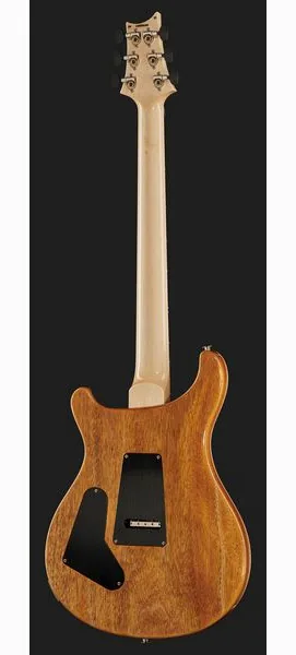 PRS Custom 24 Floyd 10 Top CH 2024, detail 3