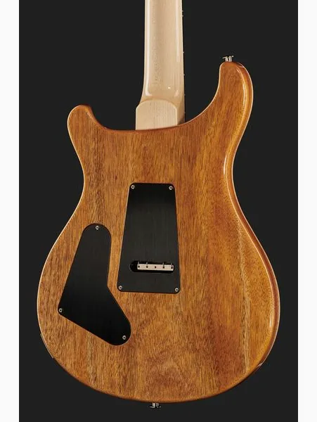 PRS Custom 24 Floyd 10 Top CH 2024, detail 5