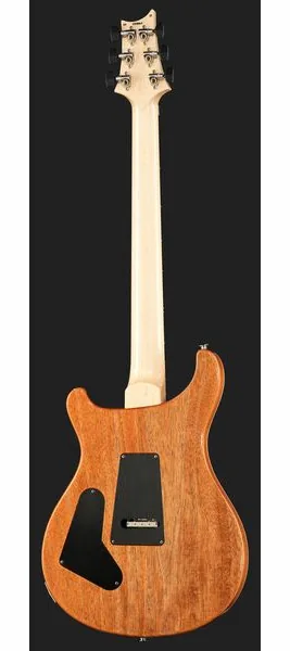 PRS Custom 24 Floyd 10 Top CH, detail 3