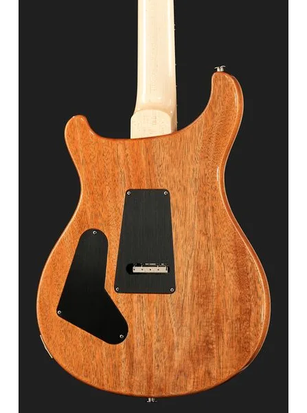 PRS Custom 24 Floyd 10 Top CH, detail 5