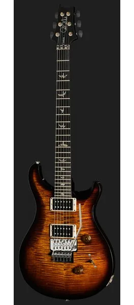 PRS Custom 24 Floyd BGWB, detail 2