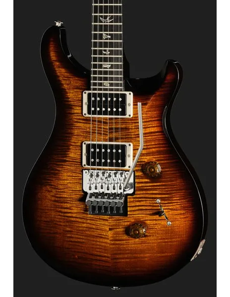 PRS Custom 24 Floyd BGWB, detail 4