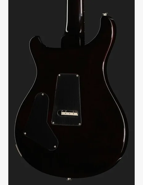PRS Custom 24 Floyd BGWB, detail 5