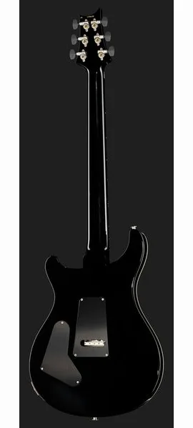 PRS Custom 24 Floyd FW, detail 3