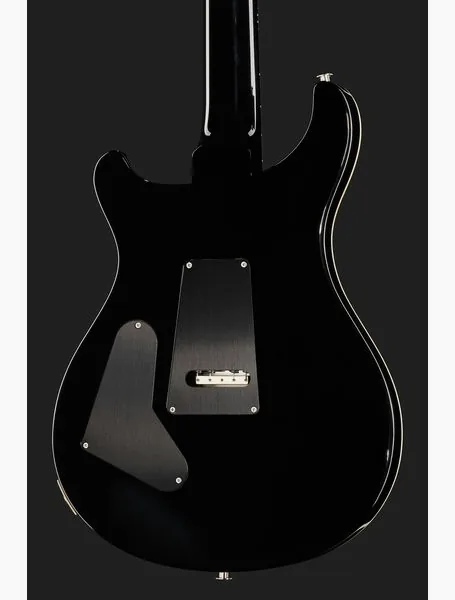 PRS Custom 24 Floyd FW, detail 5