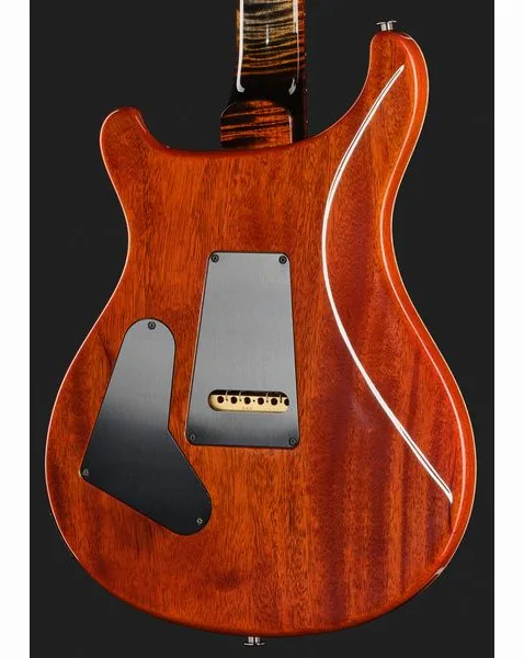 PRS Custom 24 WL Burnt Maple Leaf, detail 5