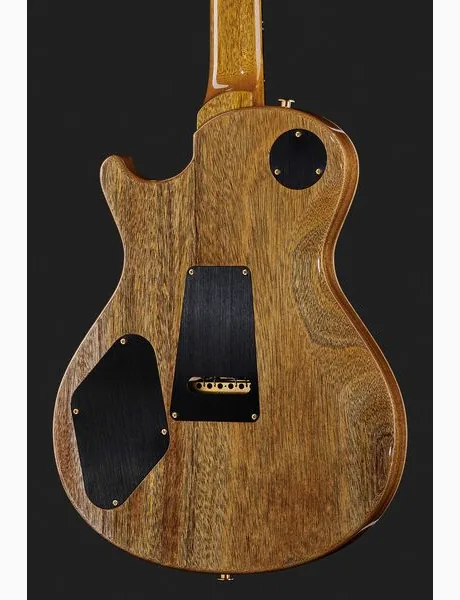PRS Mark Tremonti CH 10 Top, detail 5