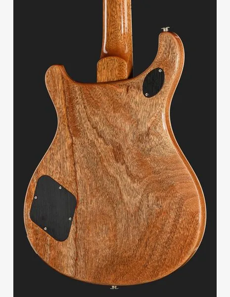 PRS McCarty 594 Aurora Borealis, detail 5