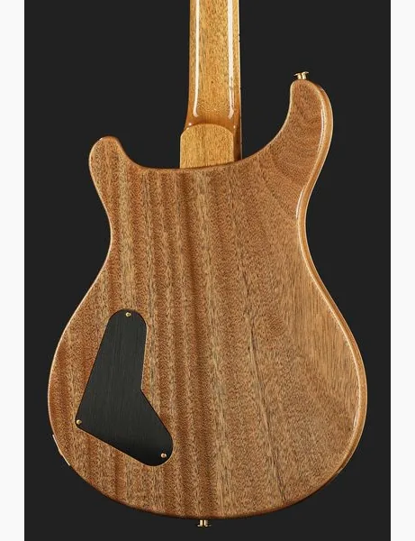PRS McCarty FBJ MCIII 10 Top, detail 5