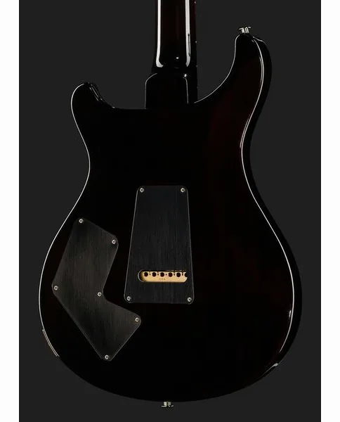 PRS Modern Eagle V BW, detail 5