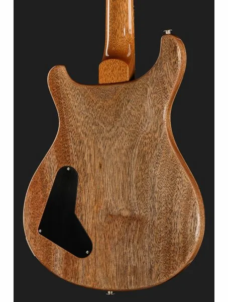 PRS Paul's Guitar Mango LTD CH, detail 5
