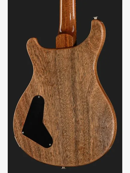 PRS Paul's Guitar Mango LTD TE, detail 5
