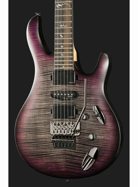 PRS SE Chleo Herman Li CPB, detail 4