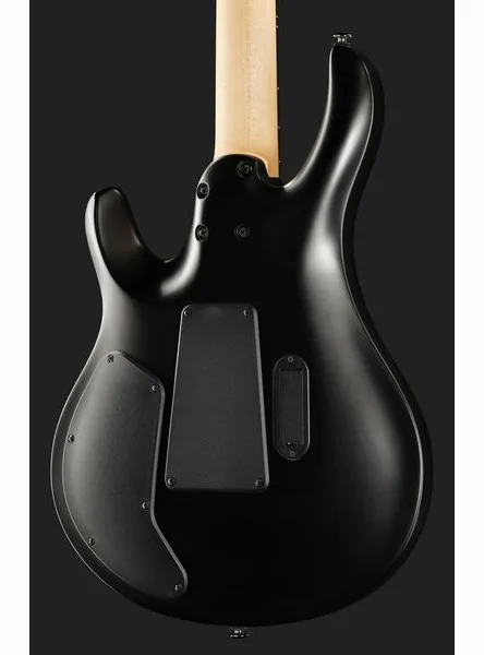 PRS SE Chleo Herman Li CPB, detail 5