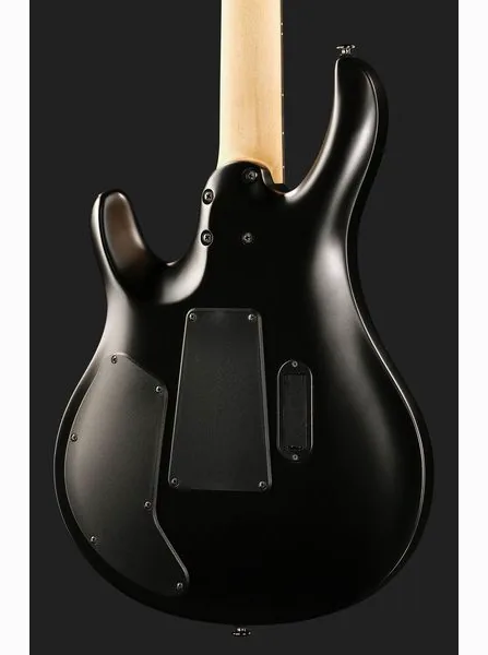 PRS SE Chleo Herman Li MB, detail 5