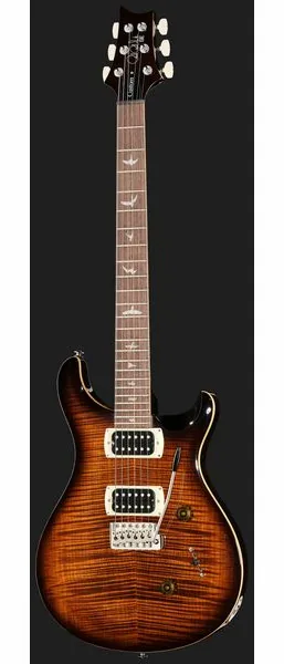 PRS SE Custom 24 BG, detail 2