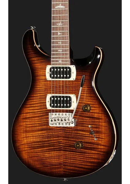 PRS SE Custom 24 BG, detail 4