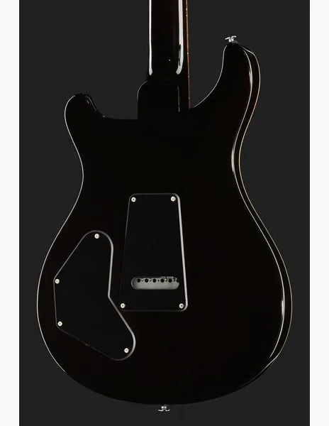 PRS SE DGT Gold Top, detail 5