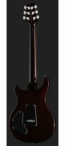 PRS SE DGT Standard Moons MTS, detail 3