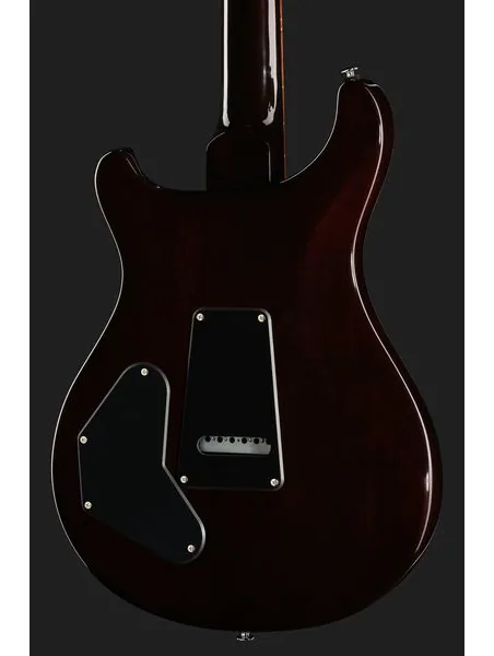 PRS SE DGT Standard Moons MTS, detail 5