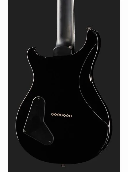 PRS SE Mark Holcomb SVN HL, detail 5
