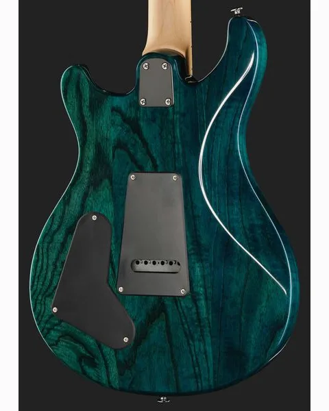 PRS SE Swamp Ash Special IB, detail 5