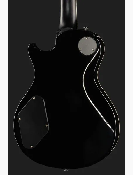 PRS SE Zach Myers EB, detail 5