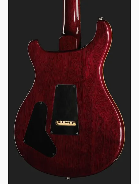 PRS Special Mango LTD CP Burst, detail 5