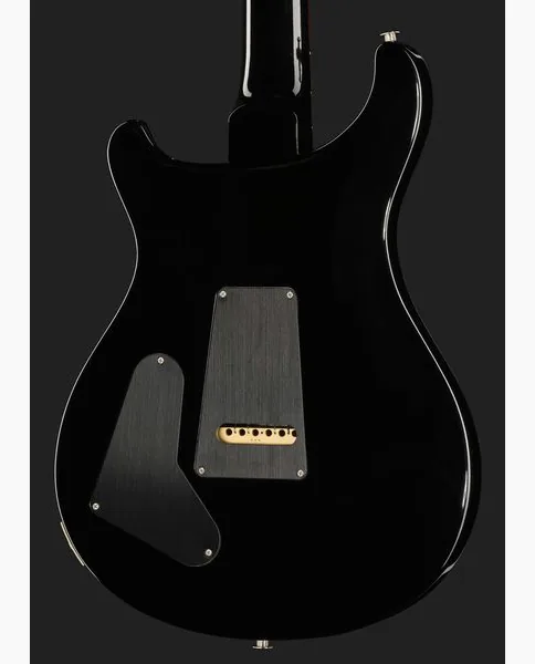 PRS Special S/H 22 Purple Mist WSB, detail 5