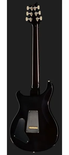 PRS Special Semi-Hollow BGWB, detail 3