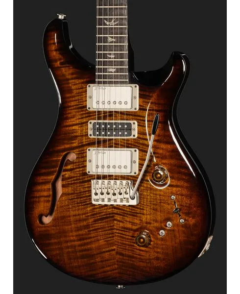PRS Special Semi-Hollow BGWB, detail 4