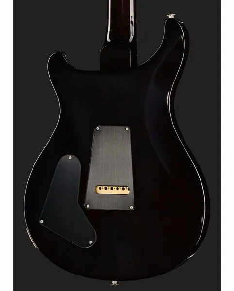 PRS Special Semi-Hollow BGWB, detail 5