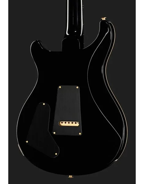 PRS Studio 10 Top FW, detail 5