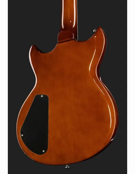 Reverend Bob Balch Violin Brown, detail 5