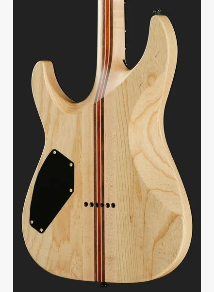 Schecter C-1 50th Anniversary GB, detail 5