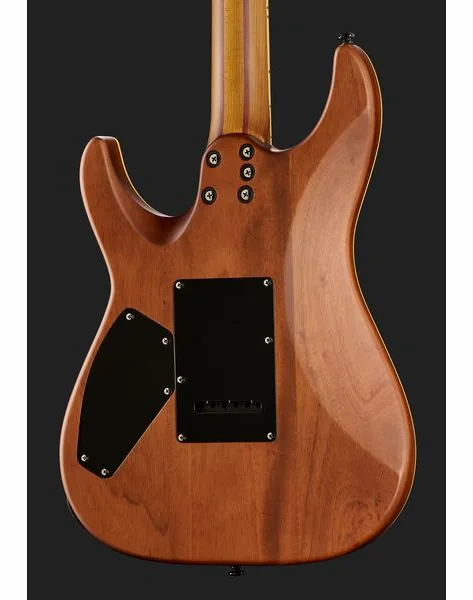 Schecter C-1 Exotic Spalted Maple SNVB, detail 5