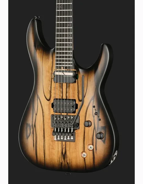 Schecter C-1 FR S Pale Moon SNBB, detail 4