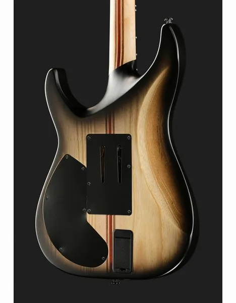 Schecter C-1 FR S Pale Moon SNBB, detail 5