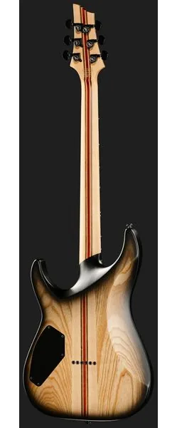 Schecter C-1 Pale Moon SNBB, detail 3