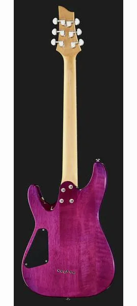 Schecter C-6 Plus EM, detail 3