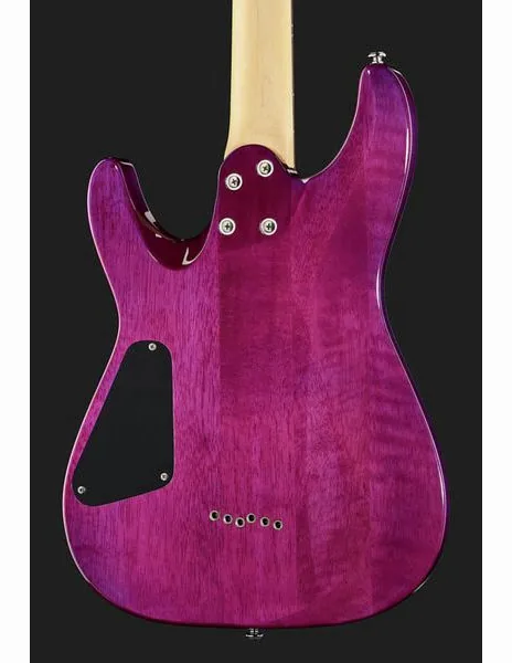 Schecter C-6 Plus EM, detail 5