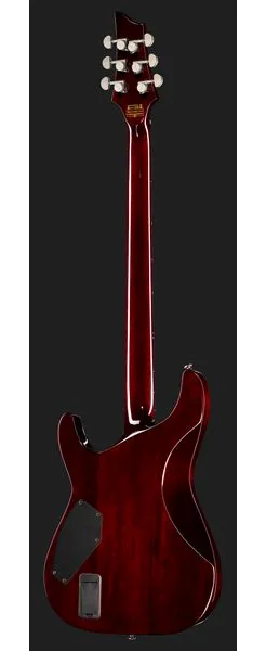 Schecter Hellraiser C-VI BCH, detail 3