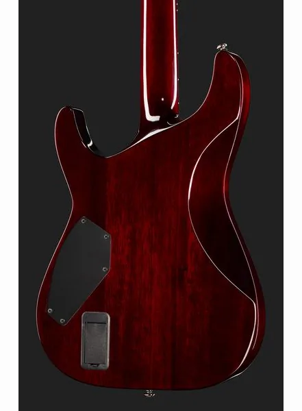 Schecter Hellraiser C-VI BCH, detail 5