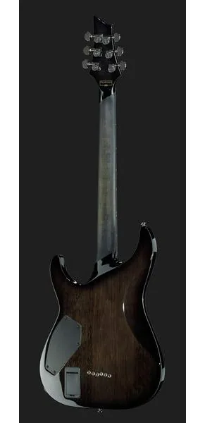Schecter Hellraiser Hybrid C-1 TBB, detail 3
